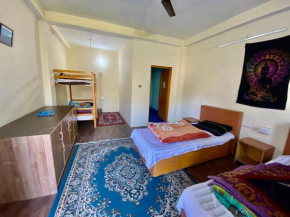 Backpackers Inn x Nomadic Dalhousie
